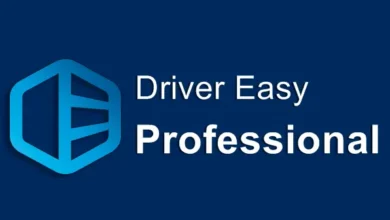 Driver Easy Professional