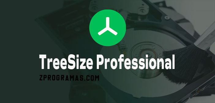 TreeSize Professional